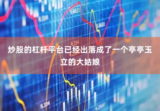 炒股的杠杆平台已经出落成了一个亭亭玉立的大姑娘