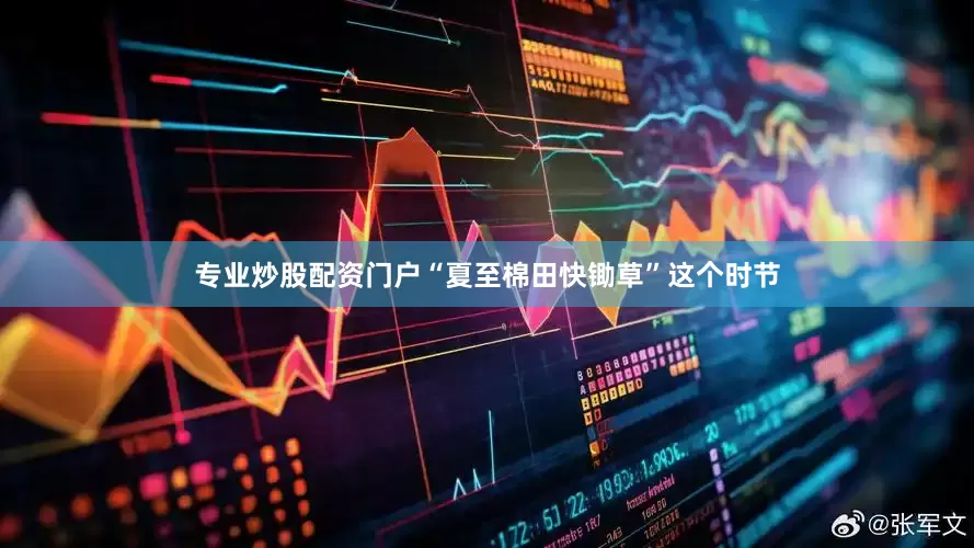 专业炒股配资门户“夏至棉田快锄草”这个时节