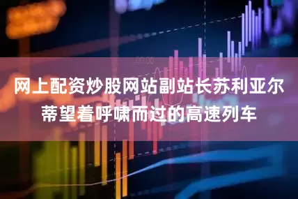 网上配资炒股网站副站长苏利亚尔蒂望着呼啸而过的高速列车