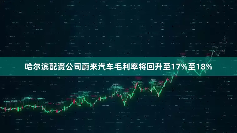 哈尔滨配资公司蔚来汽车毛利率将回升至17%至18%