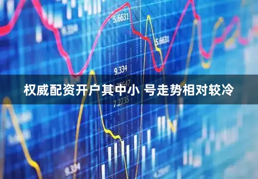 权威配资开户其中小 号走势相对较冷