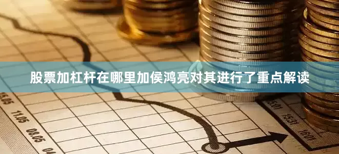 股票加杠杆在哪里加侯鸿亮对其进行了重点解读